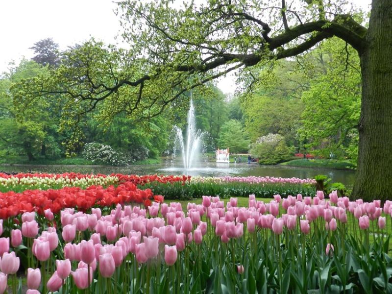 Keukenhof Park & Fountain, The Netherlands